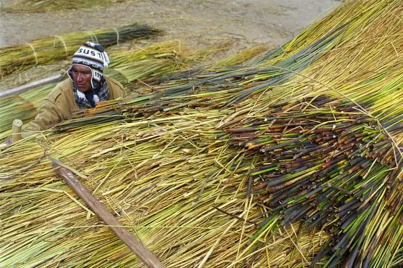 Tạp chí Wanderlust Tips Độc đáo thuyền Reed làm bằng lau sậy ở Peru