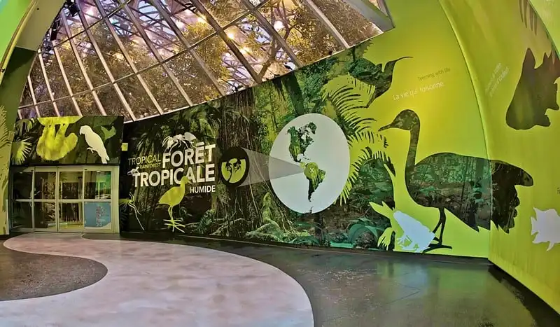 Tạp chí du lịch Wanderlust Tips Bỏ túi kinh nghiệm du lịch Montreal, Canada