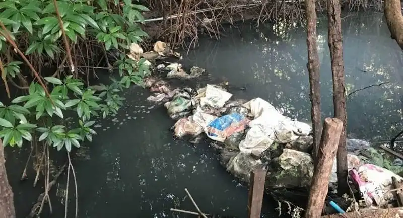 Tạp chí Wanderlust Tips Quần đảo Koh Phi Phi của Thái Lan đang cạn kiệt nguồn nước ngọt