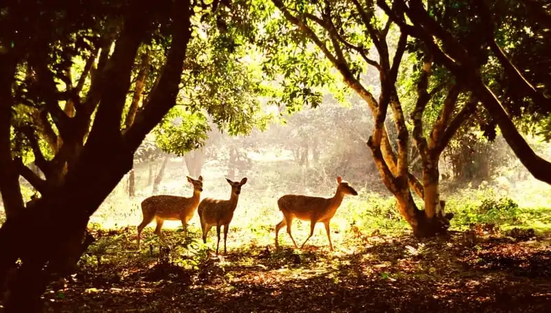 Tạp chí Du lịch Wanderlust Tips Du lịch Ninh Bình: Cẩm Nang từ A đến Z