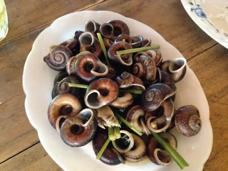 Tạp chí Du lịch Wanderlust Tips Du lịch Ninh Bình: Cẩm Nang từ A đến Z