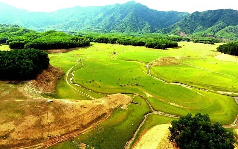 Wanderlust Tips co mot thien duong muot xanh giua long da nang 0