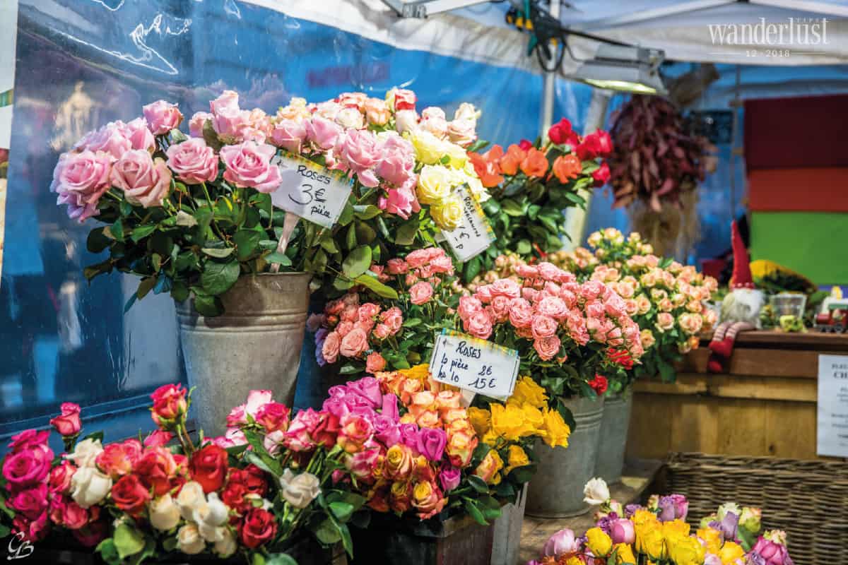 Colmar trên con đường rượu vang Alsace 6 Tạp chí Du lịch Wanderlust Tips Colmar trên con đường rượu vang Alsace - điểm đến