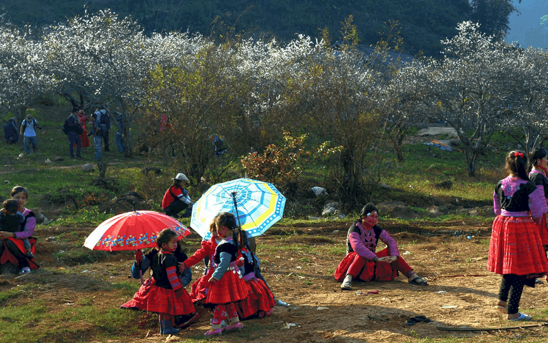 Tạp chí Du lịch Wanderlust Tips Ấn tượng khó phai về mùa hoa mận trắng ở Phiêng Cành