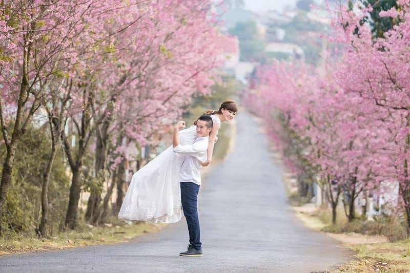 Tạp chí Du lịch Wanderlust Tips | Check-in ở Việt Nam mà ngỡ lạc bước khoảng trời Âu