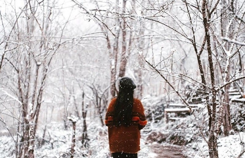 Tạp chí Du lịch Wanderlust Tips | Check-in ở Việt Nam mà ngỡ lạc bước khoảng trời Âu