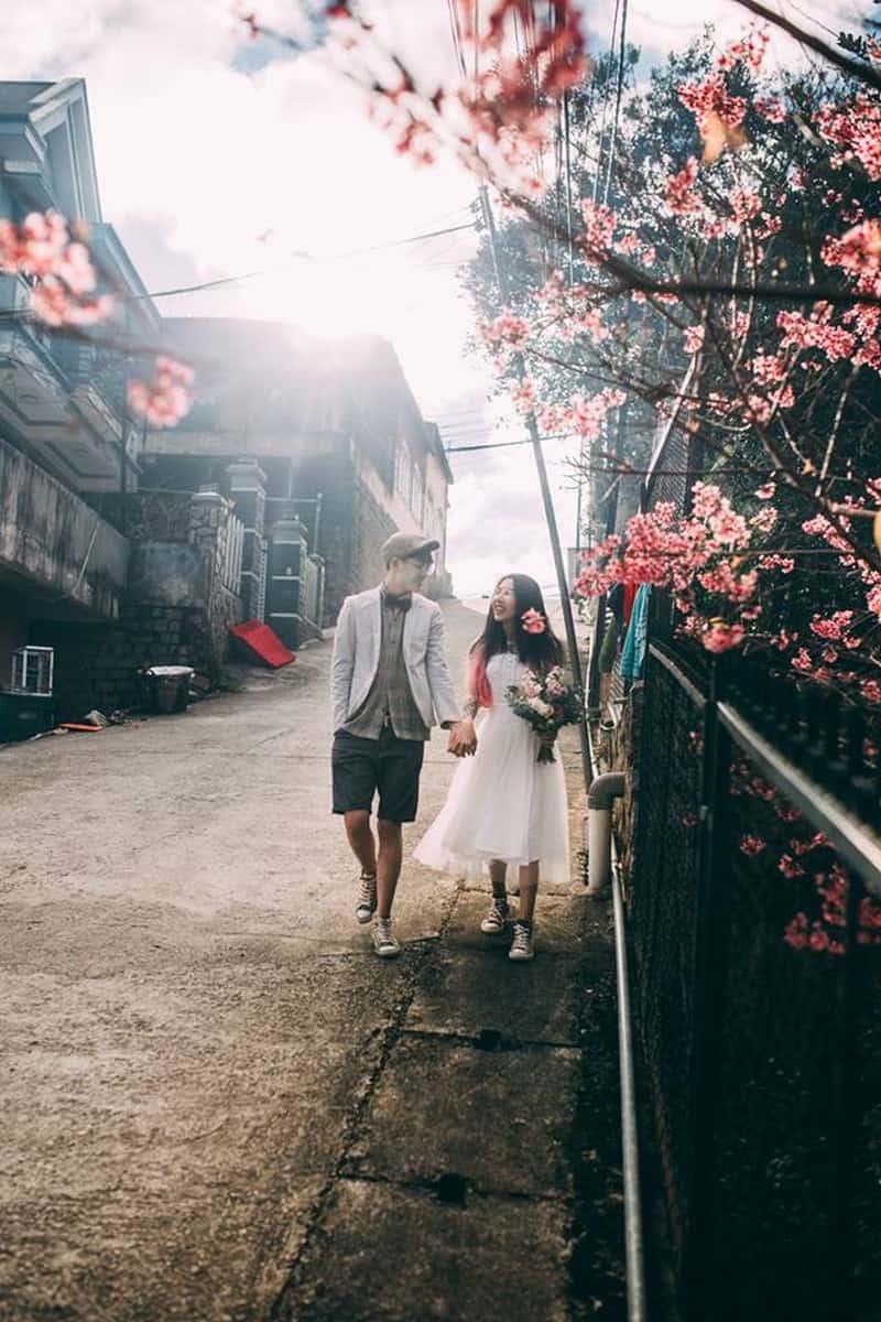 Tạp chí Du lịch Wanderlust Tips | Có một Đà Lạt mùa hoa mai anh đào đẹp mộng mơ