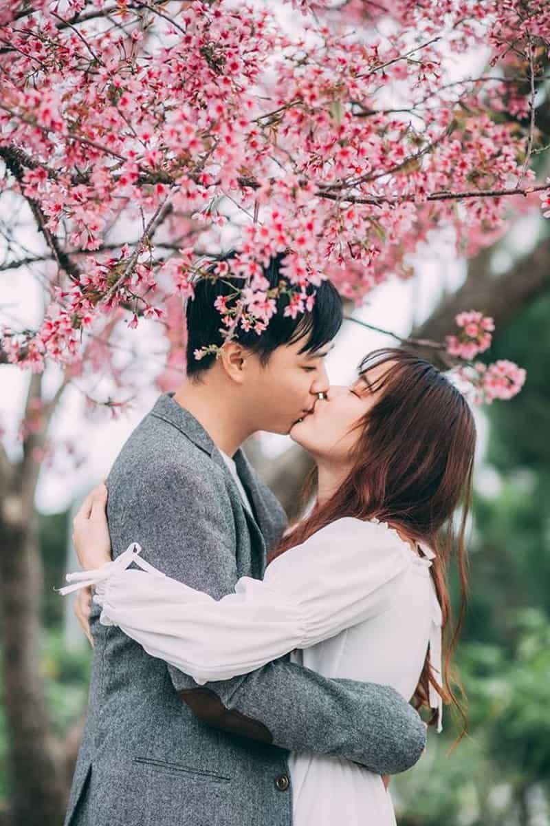 Tạp chí Du lịch Wanderlust Tips | Có một Đà Lạt mùa hoa mai anh đào đẹp mộng mơ