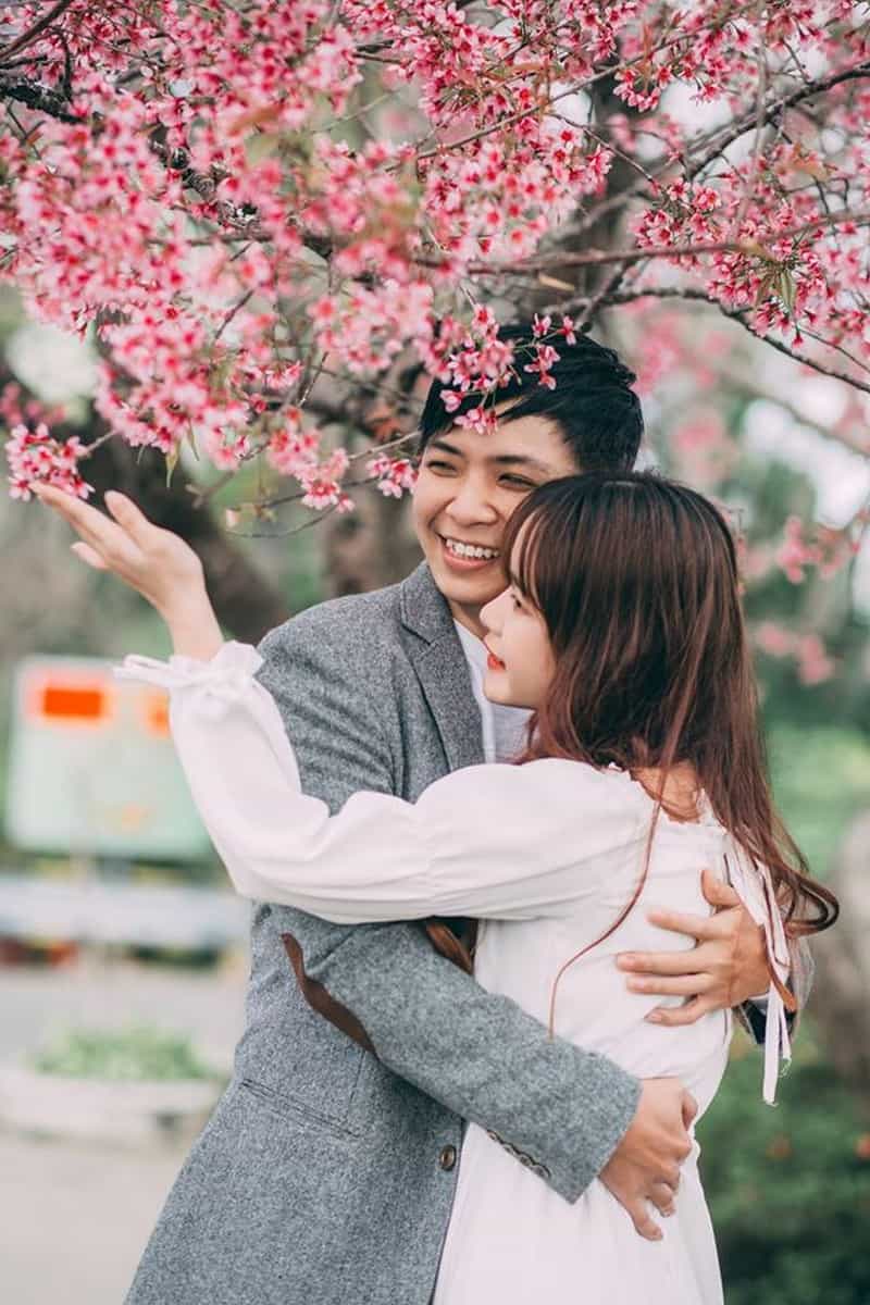 Tạp chí Du lịch Wanderlust Tips | Có một Đà Lạt mùa hoa mai anh đào đẹp mộng mơ