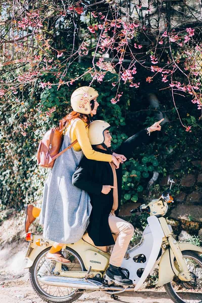 Tạp chí Du lịch Wanderlust Tips | Có một Đà Lạt mùa hoa mai anh đào đẹp mộng mơ