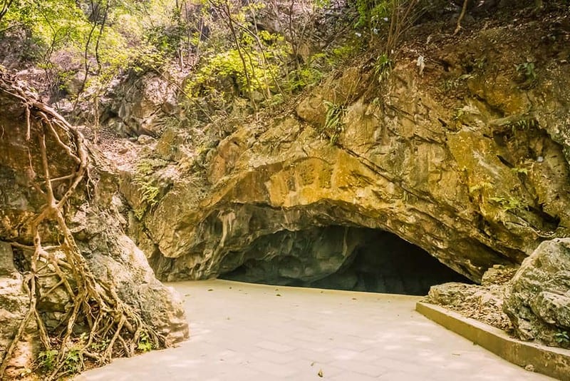 Đến khu du lịch sinh thái chùa Trầm bỏ quên muộn phiền 8 Tạp chí Du lịch Wanderlust Tips | Đến khu du lịch sinh thái chùa Trầm bỏ quên muộn phiền