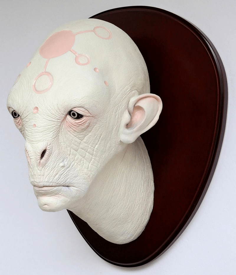 Tạp chí Du lịch Wanderlust Tips Độc đáo cửa hàng người ngoài hành tinh ở Barcelona