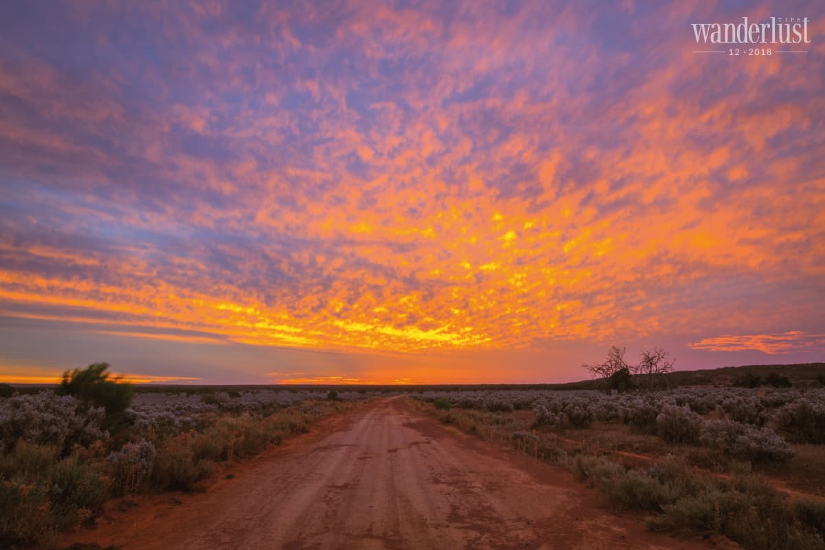 Dưới bầu trời đêm hoang mạc 8 Tạp chí Du lịch Wanderlust Tips Dưới bầu trời đêm hoang mạc - khám phá