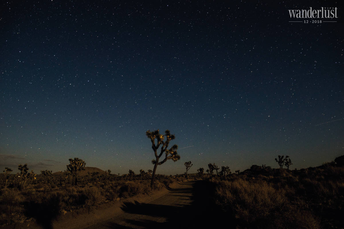 Dưới bầu trời đêm hoang mạc 11 Tạp chí Du lịch Wanderlust Tips Dưới bầu trời đêm hoang mạc - khám phá
