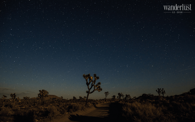 Tạp chí Du lịch Wanderlust Tips Dưới bầu trời đêm hoang mạc - khám phá