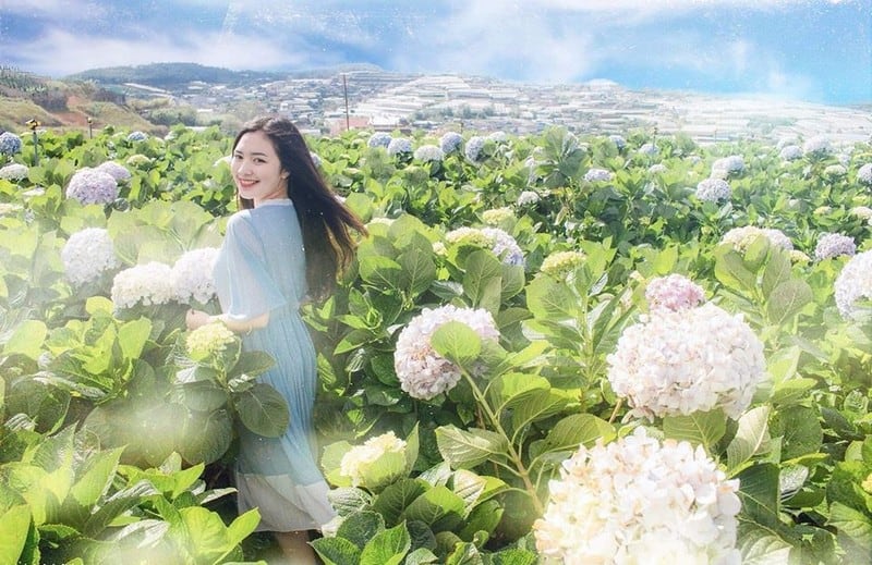 Tạp chí Du lịch Wanderlust Tips | Hot girl Kiên Giang mê du lịch: "Cứ đi vì tuổi trẻ không trở lại lần thứ hai"