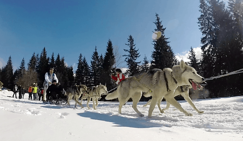 Tạp chí Du lịch Wanderlust Tips Hướng dẫn tham quan du lịch Slovakia bổ ích