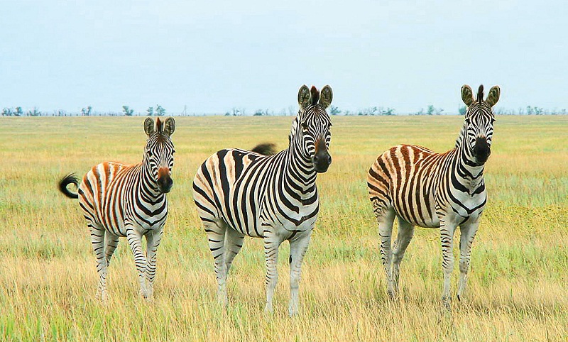 Wanderlust Tips kinh nghiem du lich ukraine 13