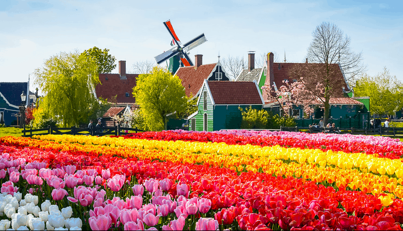 Kinh nghiệm khám phá Amsterdam bình yên và thơ mộng 8 Tạp chí Du lịch Wanderlust Tips Kinh nghiệm khám phá Amsterdam bình yên và thơ mộng