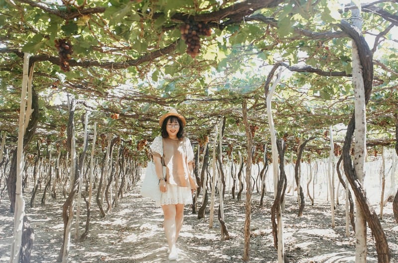 Tạp chí Du lịch Wanderlust Tips | Lạc theo bước chân 9X Bắc Giang khám phá muôn màu cuộc sống