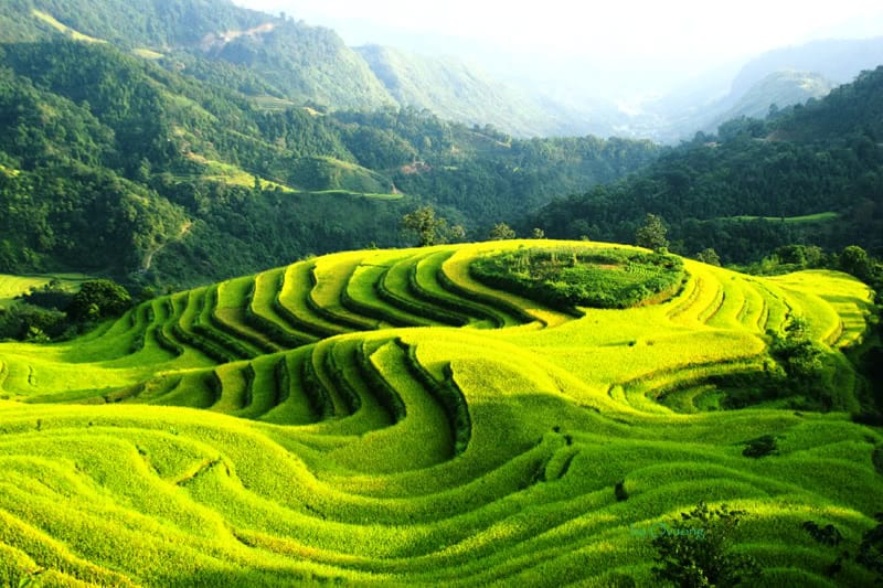 Tạp chí Du lịch Wanderlust Tips | Những địa điểm du lịch lý tưởng trong dịp Tết