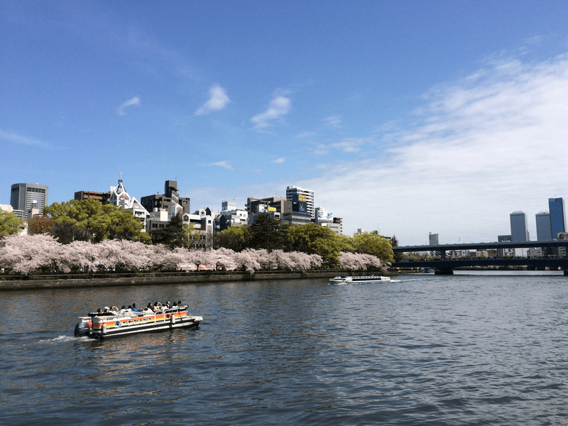 Tạp chí Du lịch Wanderlust Tips Những điều cần biết khi ngắm hoa anh đào ở Nhật Bản