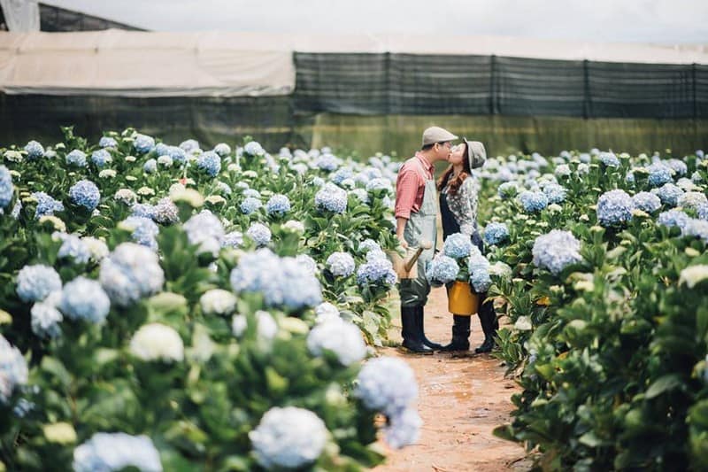 Những mùa hoa ở Đà Lạt khiến lòng người mê đắm 9 Tạp chí Du lịch Wanderlust Tips |Những mùa hoa ở Đà Lạt khiến lòng người mê đắm