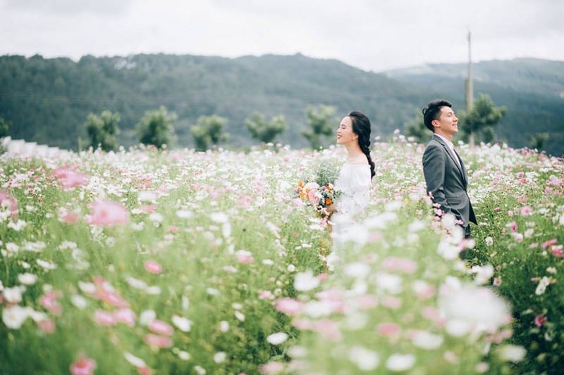 Những mùa hoa ở Đà Lạt khiến lòng người mê đắm 13 Tạp chí Du lịch Wanderlust Tips |Những mùa hoa ở Đà Lạt khiến lòng người mê đắm