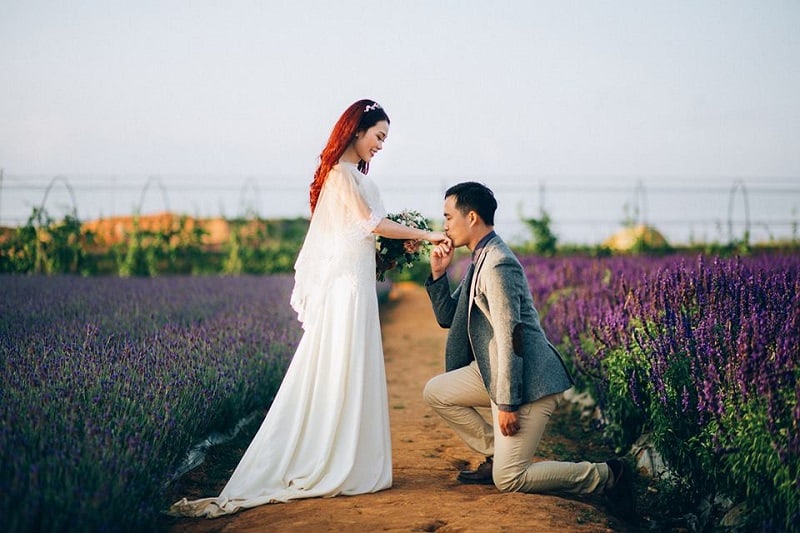 Những mùa hoa ở Đà Lạt khiến lòng người mê đắm 18 Tạp chí Du lịch Wanderlust Tips |Những mùa hoa ở Đà Lạt khiến lòng người mê đắm