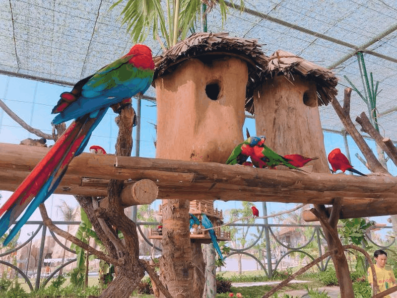 Tất tần tật về khu vui chơi giải trí Vinpearl Land Nam Hội An 14 Tạp chí Du lịch Wanderlust Tips Tất tần tật về khu vui chơi giải trí Vinpearl Land Nam Hội An