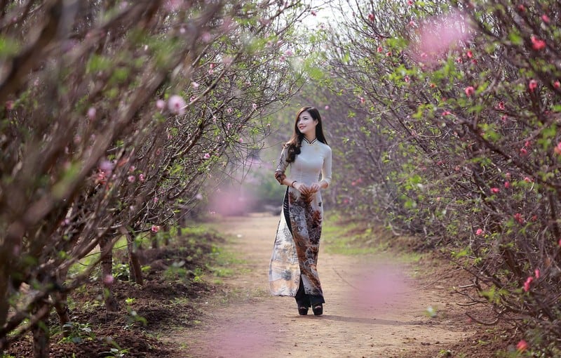 Tạp chí Du lịch Wanderlust Tips | Thiếu nữ Hà thành đi qua những mùa hoa