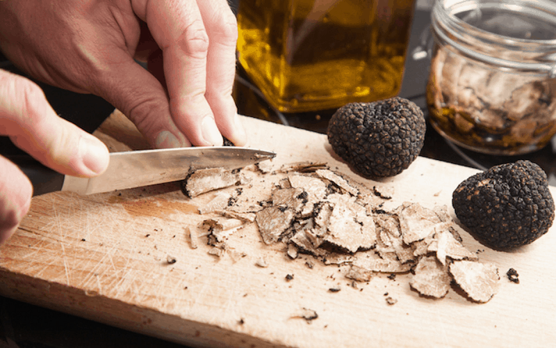 Tour săn nấm cục truffle độc đáo thu hút khách du lịch ở Italy 6 Tạp chí Du lịch Wanderlust Tips Tour săn nấm cục độc đáo thu hút khách du lịch ở Italy