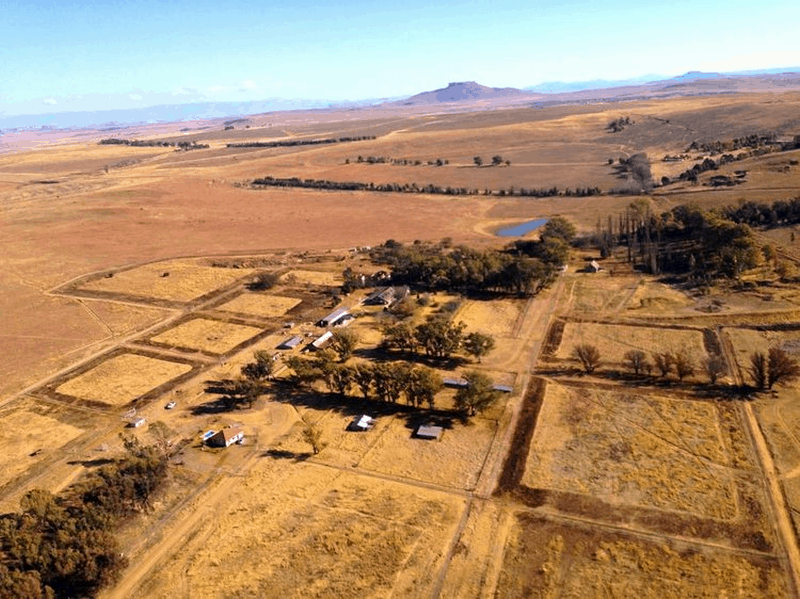 Tạp chí Du lịch Wanderlust Tips Trải nghiệm độc đáo: Ngủ chung với 77 chú sư tử tại Lion House