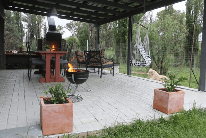 Tạp chí Du lịch Wanderlust Tips Trải nghiệm độc đáo: Ngủ chung với 77 chú sư tử tại Lion House