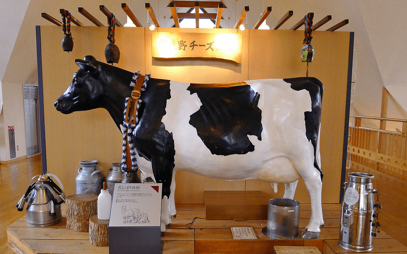 Tạp chí Du lịch Wanderlust Tips Trải nghiệm làm phô mai mascarpone tại Furano Cheese Factory