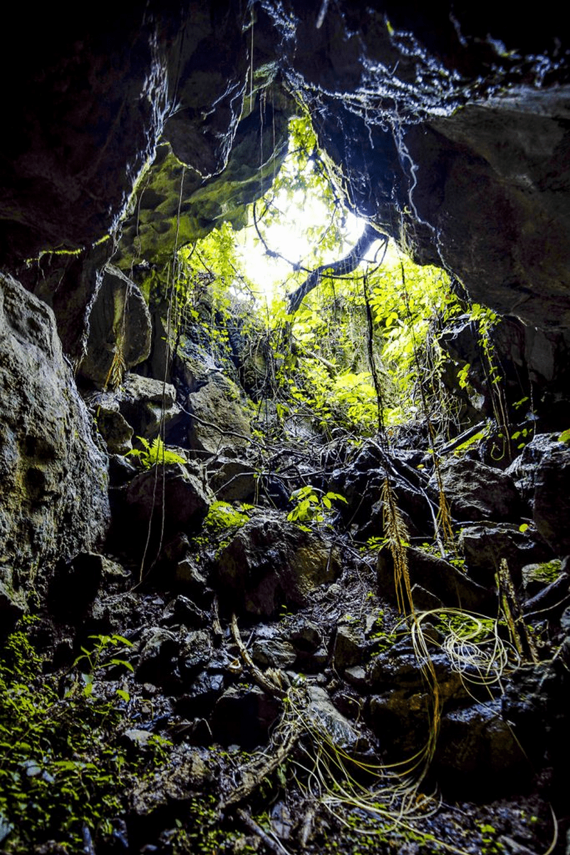 Tạp chí Du lịch Wanderlust Tips Hang động Đại tướng Võ Nguyên Giáp được đưa vào khai thác du lịch