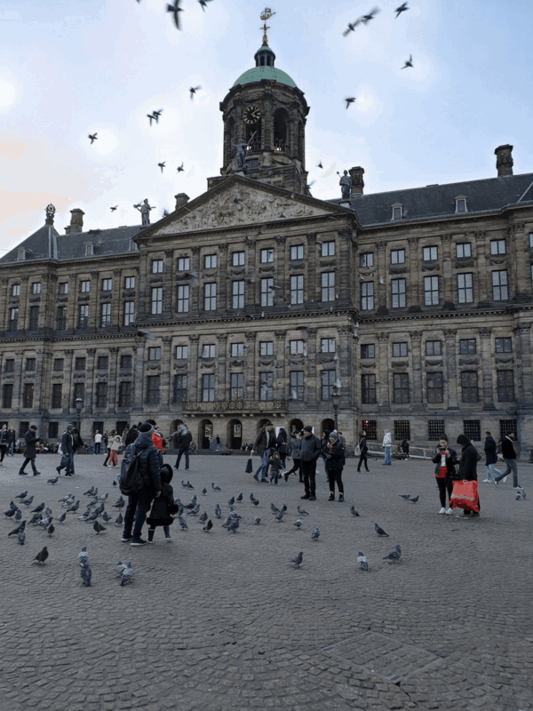 Tạp chí Du lịch Wanderlust Tips Kinh nghiệm khám phá Amsterdam bình yên và thơ mộng