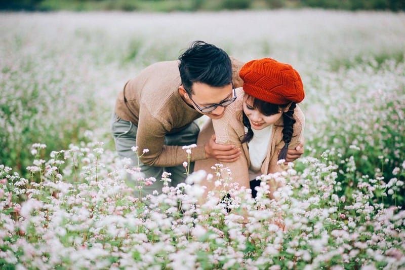 Những mùa hoa ở Đà Lạt khiến lòng người mê đắm 8 Tạp chí Du lịch Wanderlust Tips |Những mùa hoa ở Đà Lạt khiến lòng người mê đắm