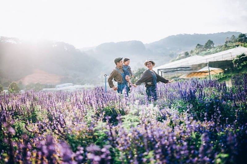 Tạp chí Du lịch Wanderlust Tips |Những mùa hoa ở Đà Lạt khiến lòng người mê đắm