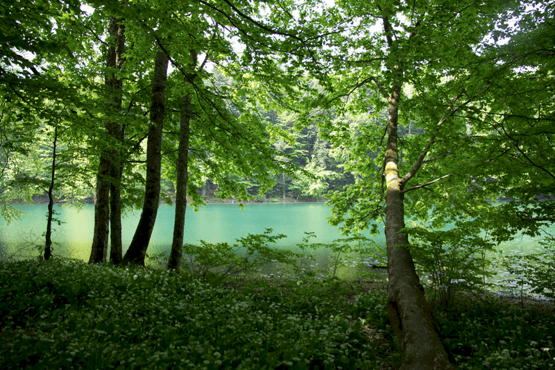 Phải lòng Montenegro qua những bức ảnh đẹp như tranh vẽ 5 Tạp chí Du lịch Wanderlust Tips Phải lòng Montenegro qua những bức ảnh đẹp như tranh vẽ