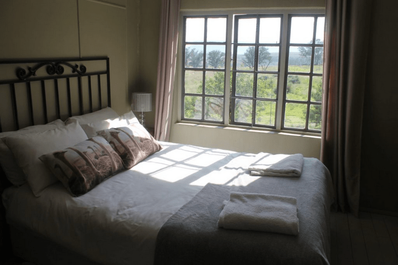 Tạp chí Du lịch Wanderlust Tips Trải nghiệm độc đáo: Ngủ chung với 77 chú sư tử tại Lion House