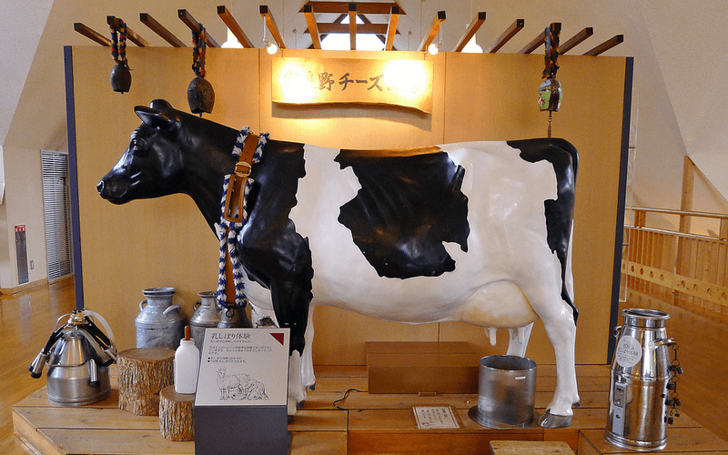 Trải nghiệm làm phô mai mascarpone tại Furano Cheese Factory Trải nghiệm làm phô mai mascarpone tại Furano Cheese Factory