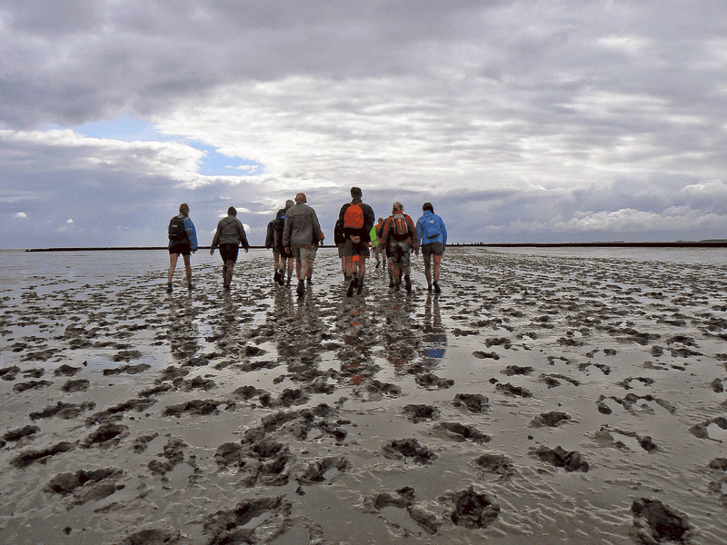 Tạp chí Du lịch Wanderlust Tips Wadden: Vùng biển "báu vật" của Hà Lan