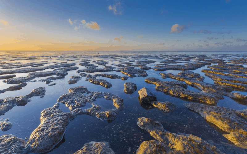 Wadden: Vùng biển "báu vật" của Hà Lan 5 Tạp chí Du lịch Wanderlust Tips Wadden: Vùng biển "báu vật" của Hà Lan
