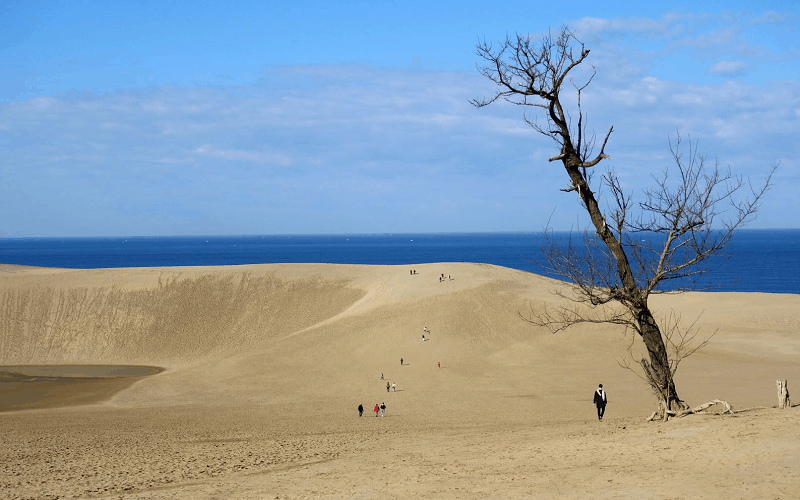 Tạp chí Du lịch Wanderlust Tips Ghé thăm cồn cát độc đáo duy nhất tại Tottori, Nhật Bản