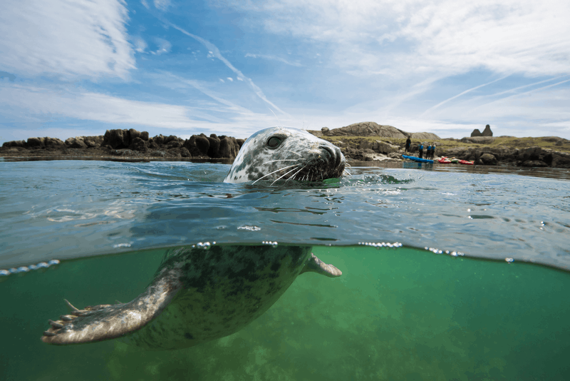 Tạp chí Du lịch Wanderlust Tips Một số kinh nghiệm cần lưu ý cho chuyến du lịch Ireland hoàn hảo