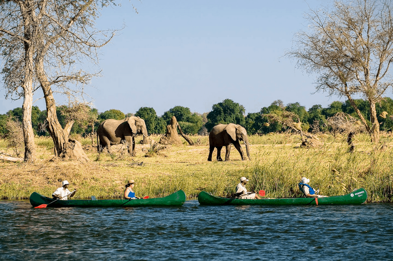 Tạp chí Du lịch Wanderlust Tips Bỏ túi kinh nghiệm du lịch Zimbabwe
