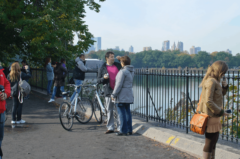 Tạp chí Du lịch Wanderlust Tips Central Park: Màu xanh khổng lồ trong lòng New York