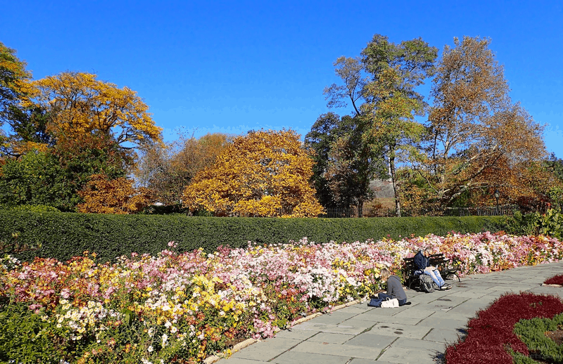 Tạp chí Du lịch Wanderlust Tips Central Park: Màu xanh khổng lồ trong lòng New York