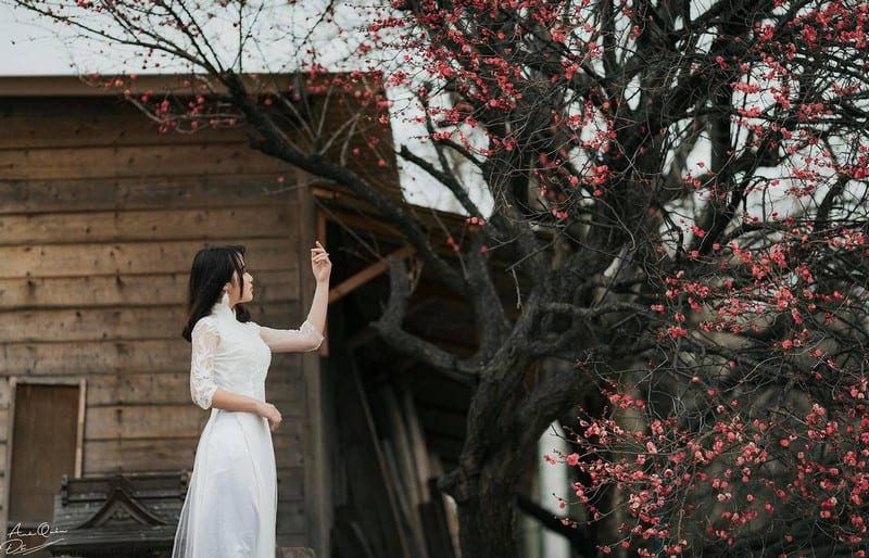 Cô gái Việt lỡ yêu Nhật Bản sau hai năm gắn bó 13 Tạp chí Du lịch Wanderlust Tips | Cô gái Việt lỡ yêu Nhật Bản sau hai năm gắn bó